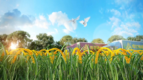 司爾特化肥演示3維動(dòng)畫(huà)宣傳片_北京凱瑪-宣傳片拍攝制作公司-專(zhuān)業(yè)宣傳片拍攝,企業(yè)宣傳片,宣傳片制作